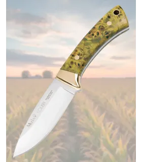 Coltello Muela Colibrì manici in legno stabilizzato sottovuoto, colore lime