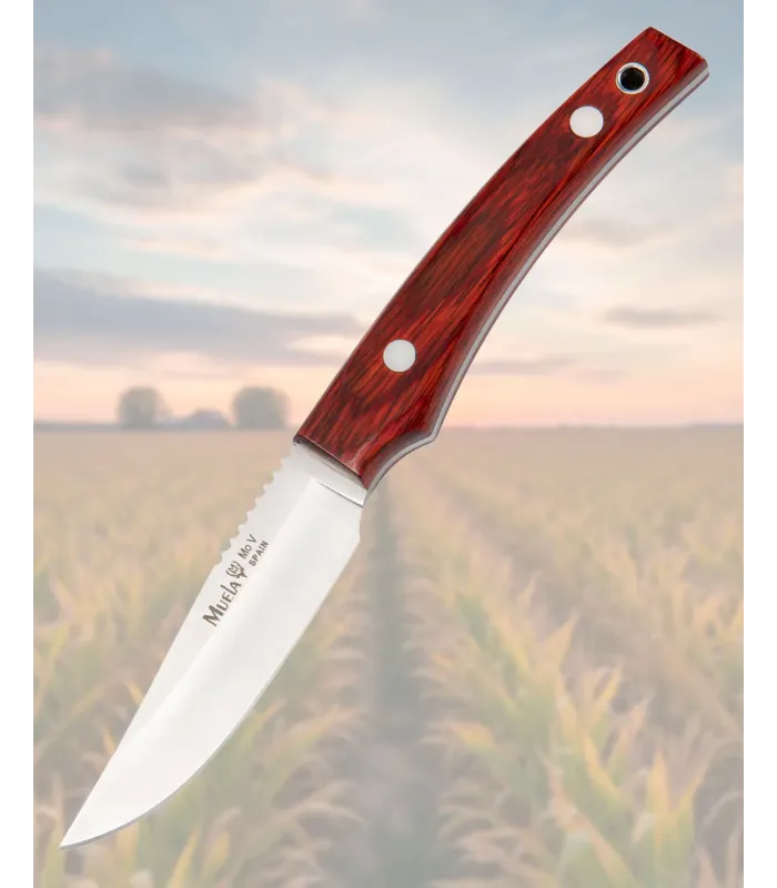 Cuchillo Muela enterizo con cachas de madera prensada coral