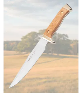 Coltello Muela manico in zama dorata e impugnature in legno di faggio.