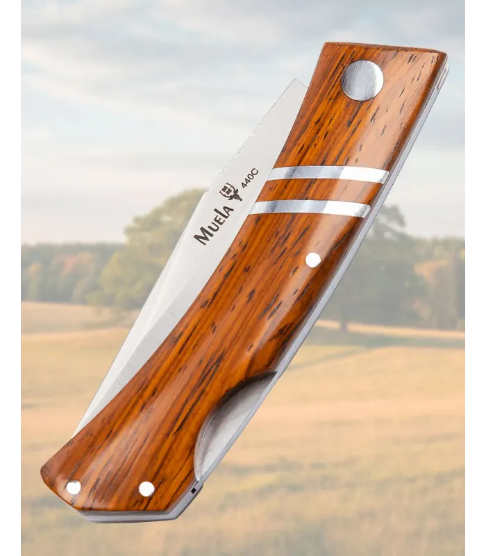 Couteau pliant Cocobolo 440C Lockback Précis