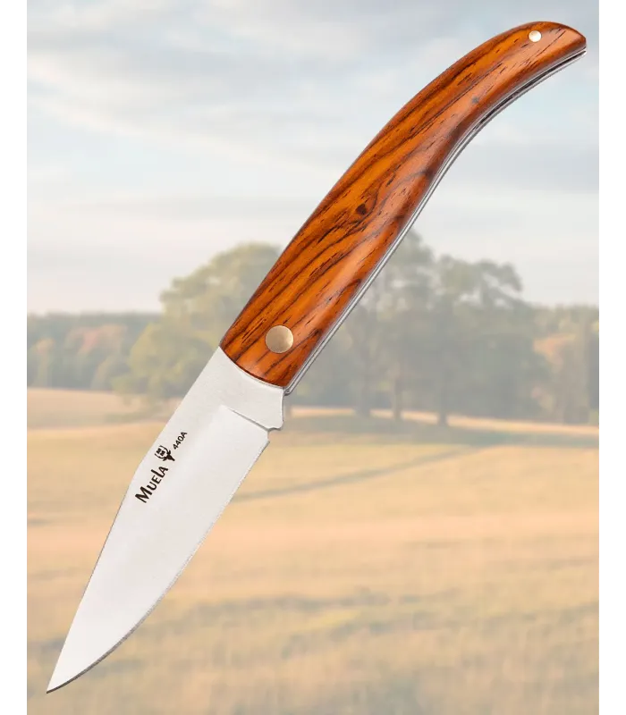 Muela-Messer mit Cocobolo-Griff und 440A-Stahl