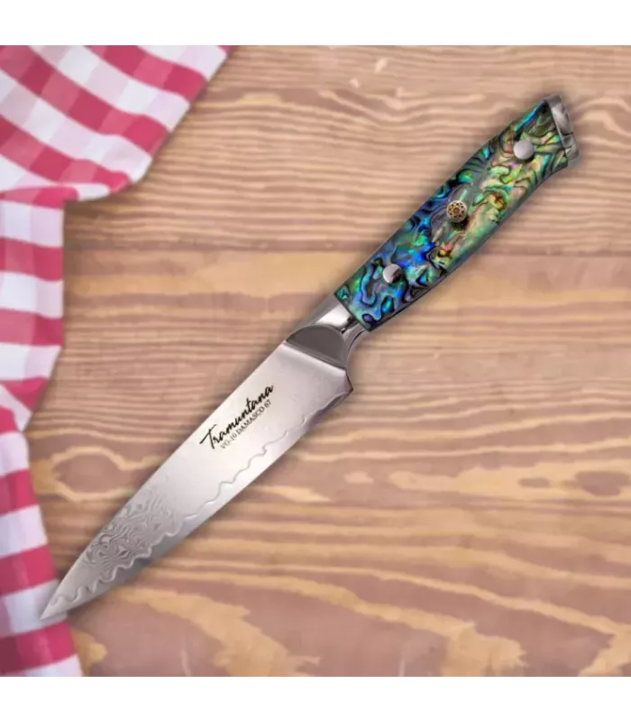 Coltello da cucina Tramuntana modello CD12 Utilitario ⚔️