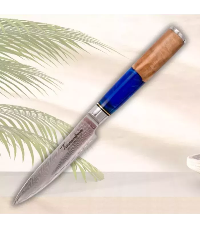 Küchenmesser Tramuntana Modell CD05 Utility ⚔️
