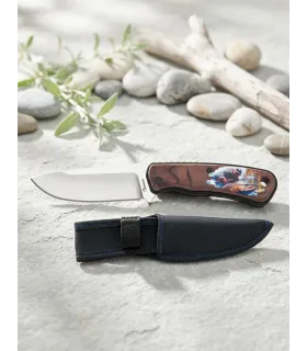 Couteau de chasse Albainox modèle Pêche, avec étui